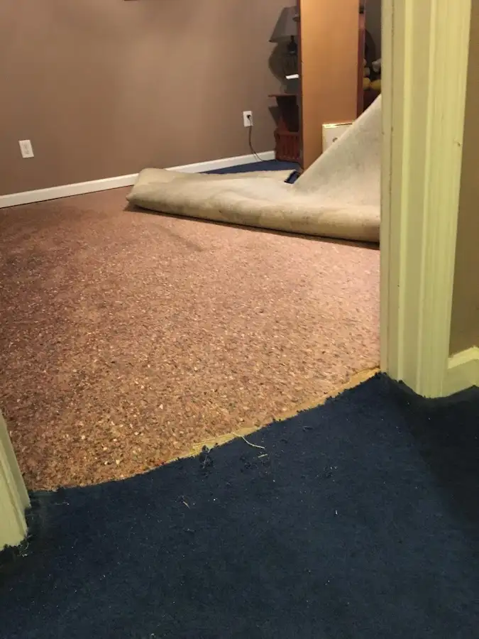 Carpet pad removal revealing water damage during Water Mitigation Services in Whiteland