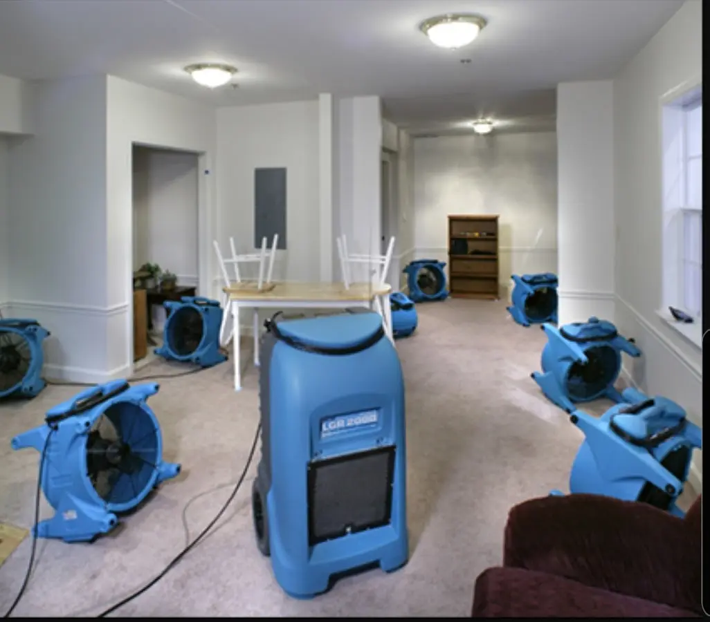 Air movers and dehumidifier setup for Water Extraction & Removal in Whiteland
