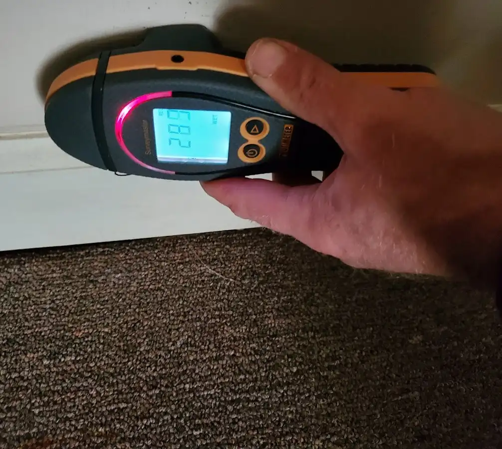 Moisture detection at baseboard during Burst Pipe Cleanup in Whiteland